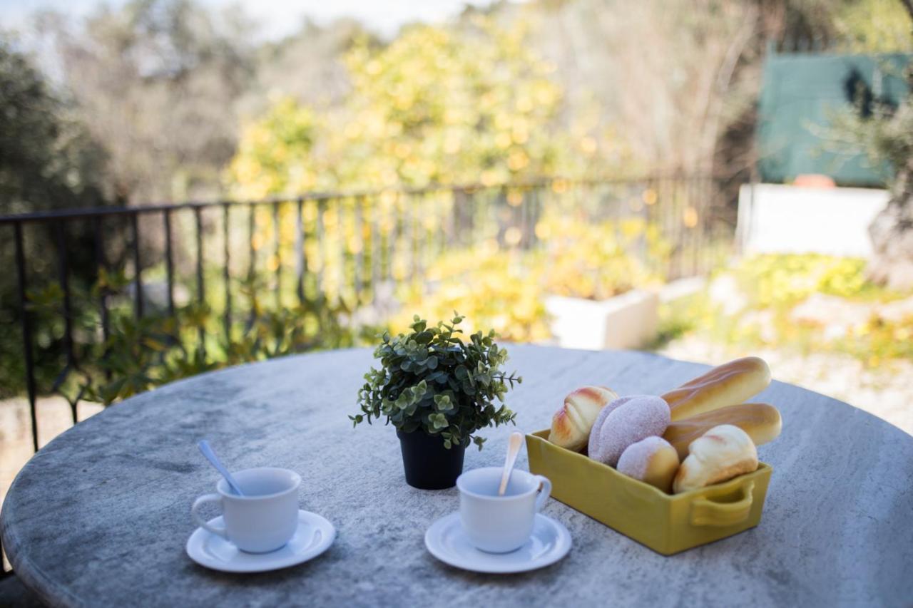 Vinaigrier Hills Vi3086 By Riviera Holiday Homes ニース エクステリア 写真
